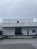 Location Local commercial Bayonne  64100 790 m2