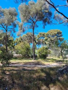 For sale Land CEYRESTE  13