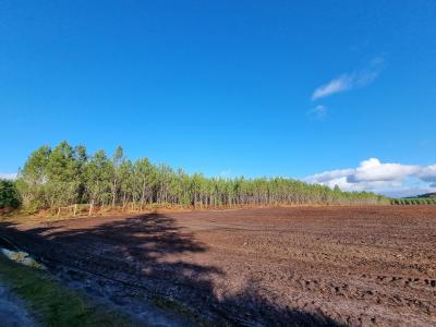 photo For sale Land LINXE 40