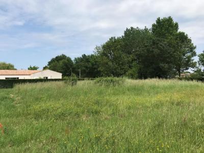For sale Land BEAUGEAY  17