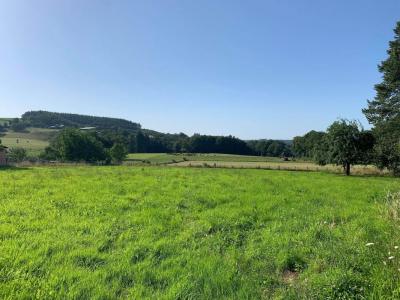 photo For sale Land NEUVIC-ENTIER 87