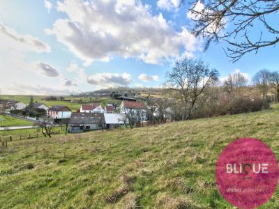 photo For sale Land BOUXIERES-AUX-CHENES 54