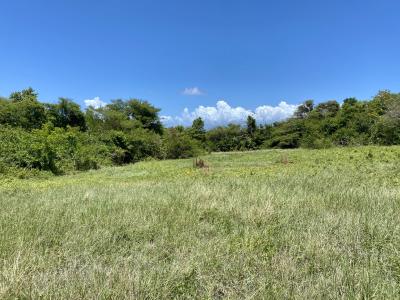 photo For sale Land GOSIER 971