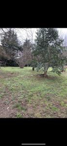 photo For sale Land LESPINASSE 31