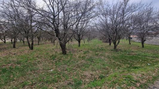 photo For sale Land MARGES 26