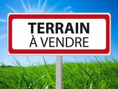 photo For sale Land VINEUIL 41