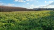 For sale Land Valence  26000 451 m2