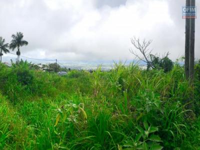 photo For sale Land RIVIERE-SAINT-LOUIS 974