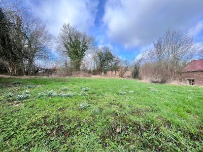 photo For sale Land BELLIGNIES 59