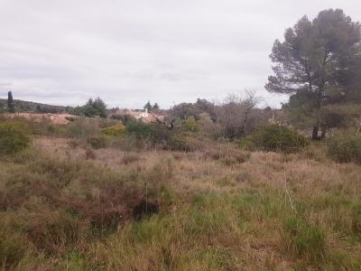 For sale Land PIGNAN  34