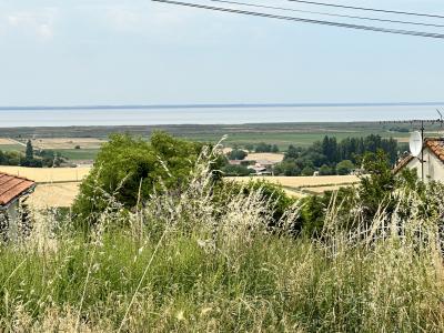 Vente Maison SAINT-FORT-SUR-GIRONDE  17