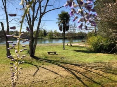 photo For sale House GAILLAC 81