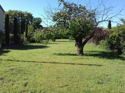 photo For sale Land VALREAS 84