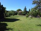 Annonce Vente Terrain