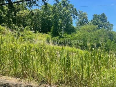 photo For sale Land GOSIER 971