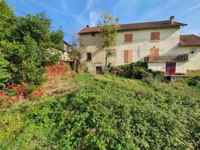 Vente Maison VILLEMOIRIEU 38460