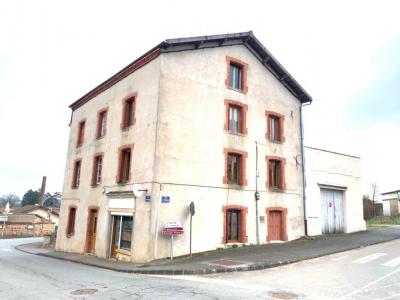 For sale Apartment building COUTOUVRE  42