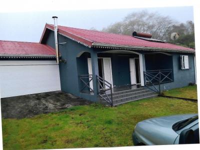 photo For sale House PLAINE-DES-PALMISTES 974