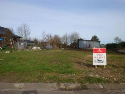 For sale Land MESNIL-REAUME  76