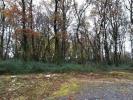 For sale Land Pranzac  16110