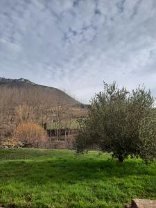 photo For sale House NANT 12