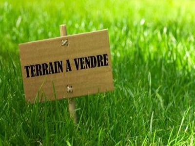 photo For sale Land BEAUFOU 85