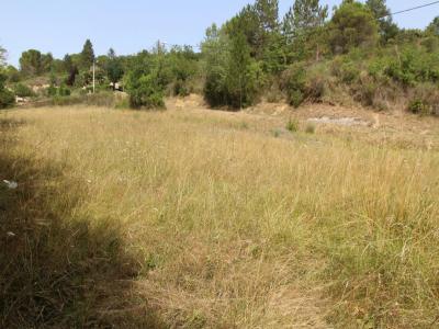 photo For sale Land SAINT-POLYCARPE 11