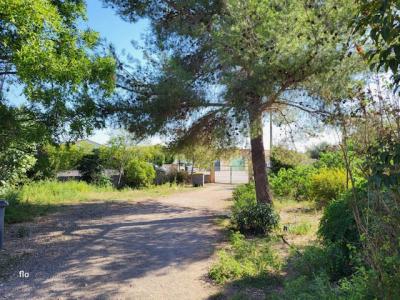 photo For sale Land CANET 34