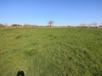 For sale Land PONLAT-TAILLEBOURG  31