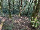 Acheter Maison Arnac-pompadour 199800 euros