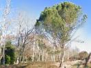 For sale Land Louchats  33125 860 m2