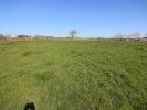 For sale Land Ponlat-taillebourg  31210 5456 m2
