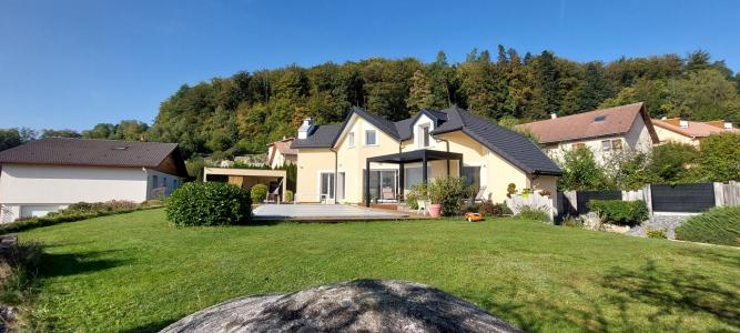 Vente Maison SAINT-NABORD  88