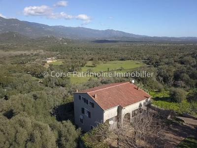 Vente Maison 5 pices SOTTA 20146