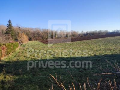 photo For sale Land DONZY 58