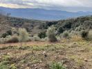 For sale Land Coggia  20160