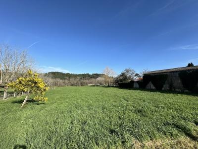 Vente Terrain SAINT-MARTIN-DE-COUX 17360