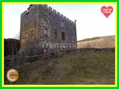 photo For sale House MURAT 15