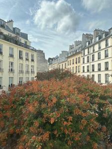 photo For sale Commerce PARIS-2EME-ARRONDISSEMENT 75