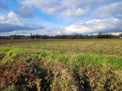 photo For sale Land LEZOUX 63