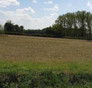 photo For sale Land LEZOUX 63