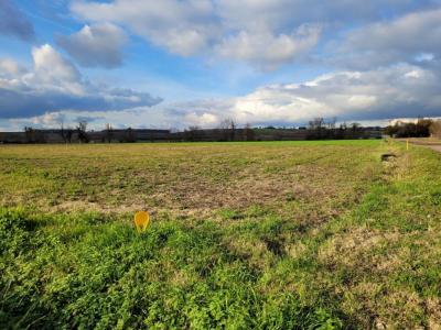 photo For sale Land LEZOUX 63