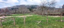 Annonce Vente 6 pièces Maison Melisey