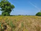 For sale Land Joze  63350 1015 m2