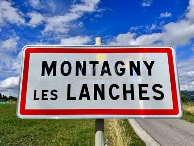 Vente Terrain MONTAGNY-LES-LANCHES  74