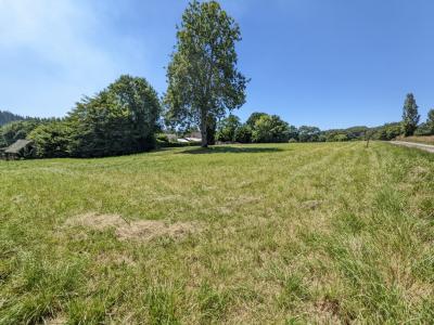 photo For sale Land BEIGNON 56