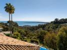Annonce Vente 6 pièces Maison Cannes