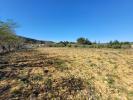 Acheter Terrain 2579 m2 Argens-minervois