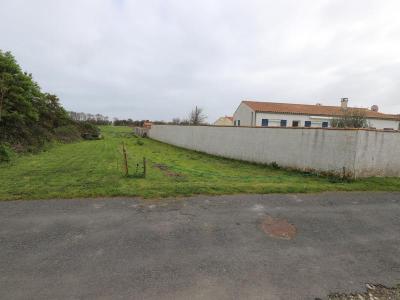 Vente Terrain SAINT-GEORGES-D'OLERON 17190