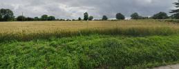 For sale Land Saint-benoit-d'hebertot  14130 800 m2